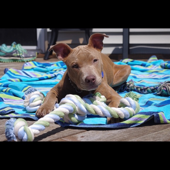 Meet your Posher, Sarah - Picture 2 of 6